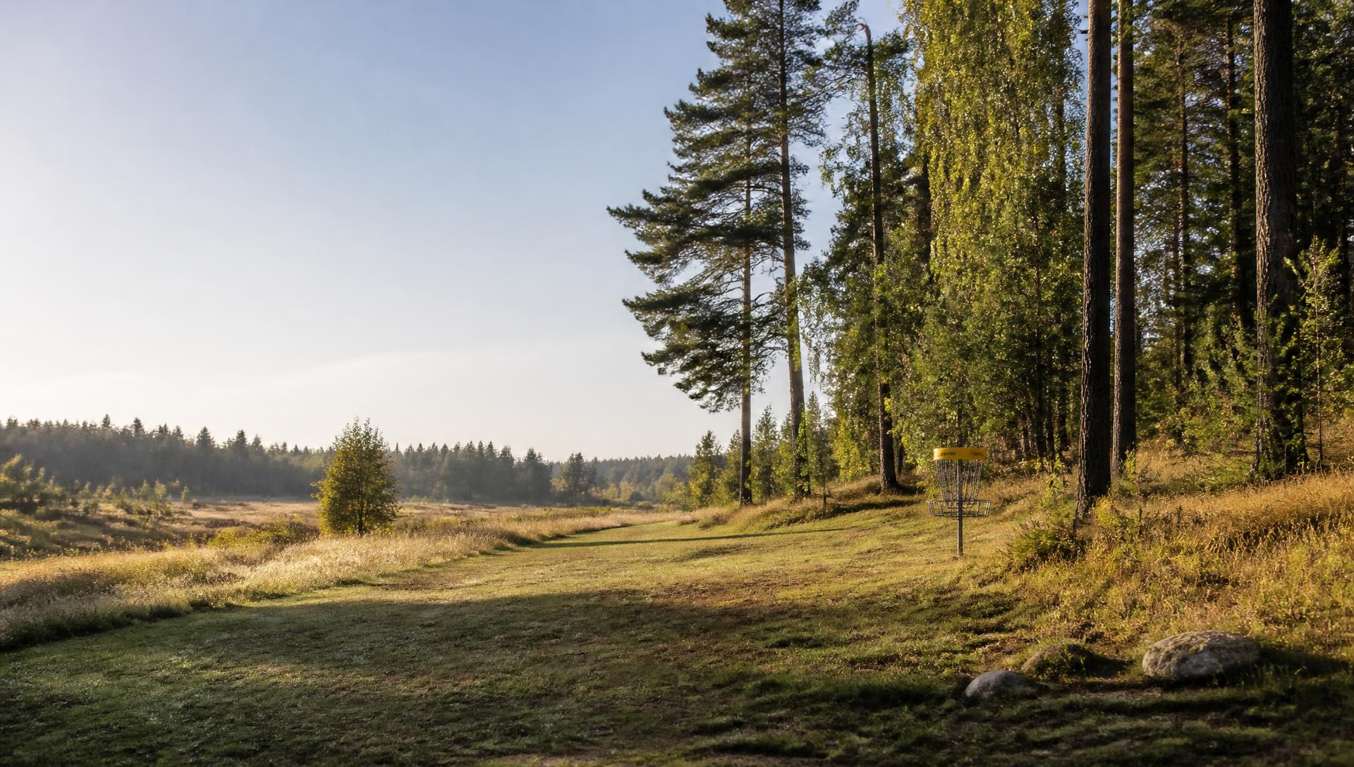 Öppen fairway på en svensk frisbeegolfbana en tidig sommarmorgon